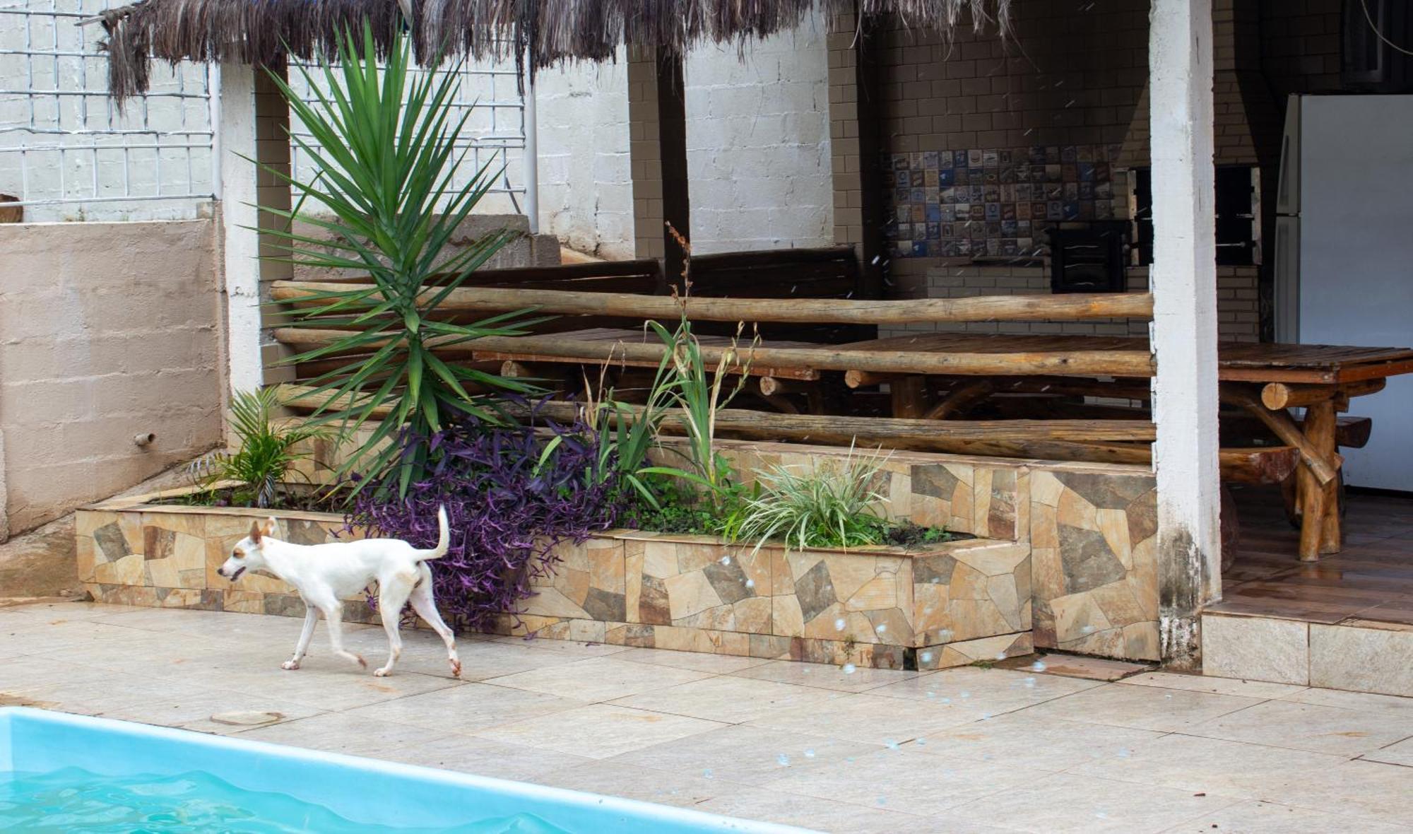 Chacara Familia Buscape Oliveira Villa Aracariguama Exteriör bild